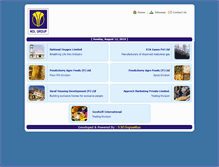 Tablet Screenshot of nolgroup.com